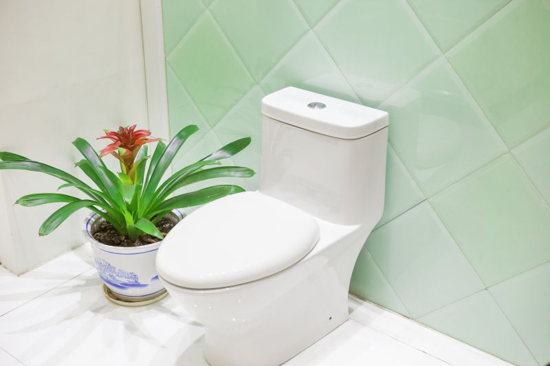 Toilet Installation Service detail